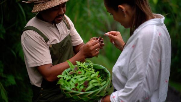 Buahan, a Banyan Tree Escape *****, Buahan, Bali 19