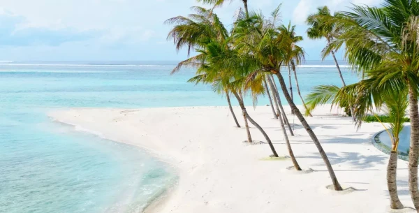 Barceló Whale Lagoon Maldives *****, Maldivy 11