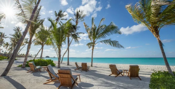 Barceló Whale Lagoon Maldives *****, Maldivy 12