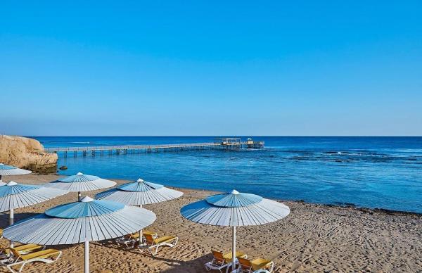 Jaz Grand Marsa Hotel *****, Marsa Alam, Egypt 14