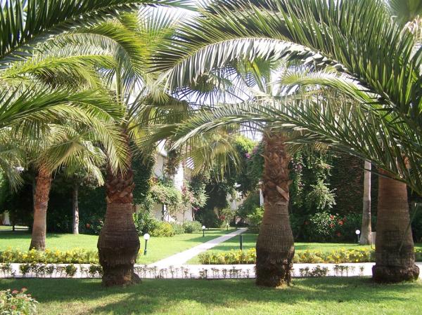 Club Boran Mare Beach *****, Kemer, Turecko 19