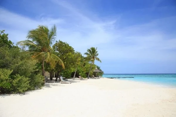 Embudu Village Resort ***, Maledivy 19