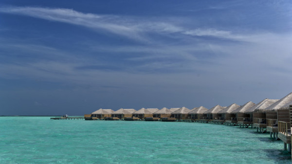 Cocoon Maldives *****, Maldivy 12