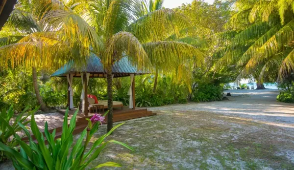 Denis Private Island *****, Seychely 3