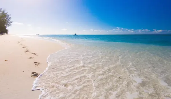 Denis Private Island *****, Seychely 9