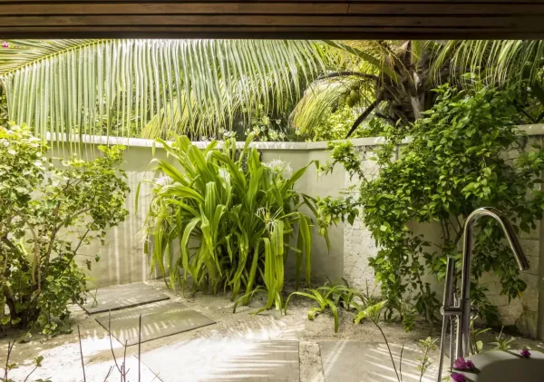 Denis Private Island *****, Seychely 12