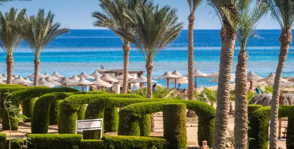 Gemma Resort *****, Marsa Alam, Egypt 11