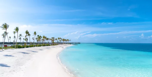 Joy Island Maldives by The Cocoon Collection *****, Maledivy 10