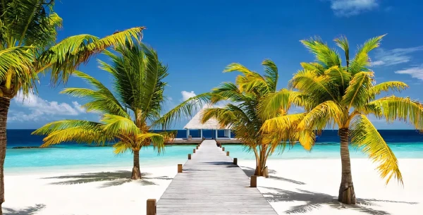 Brennia Kottefaru *****, Maldivy 10