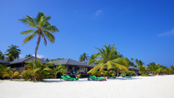 Kuredu Island Resort ****, Maledivy 13
